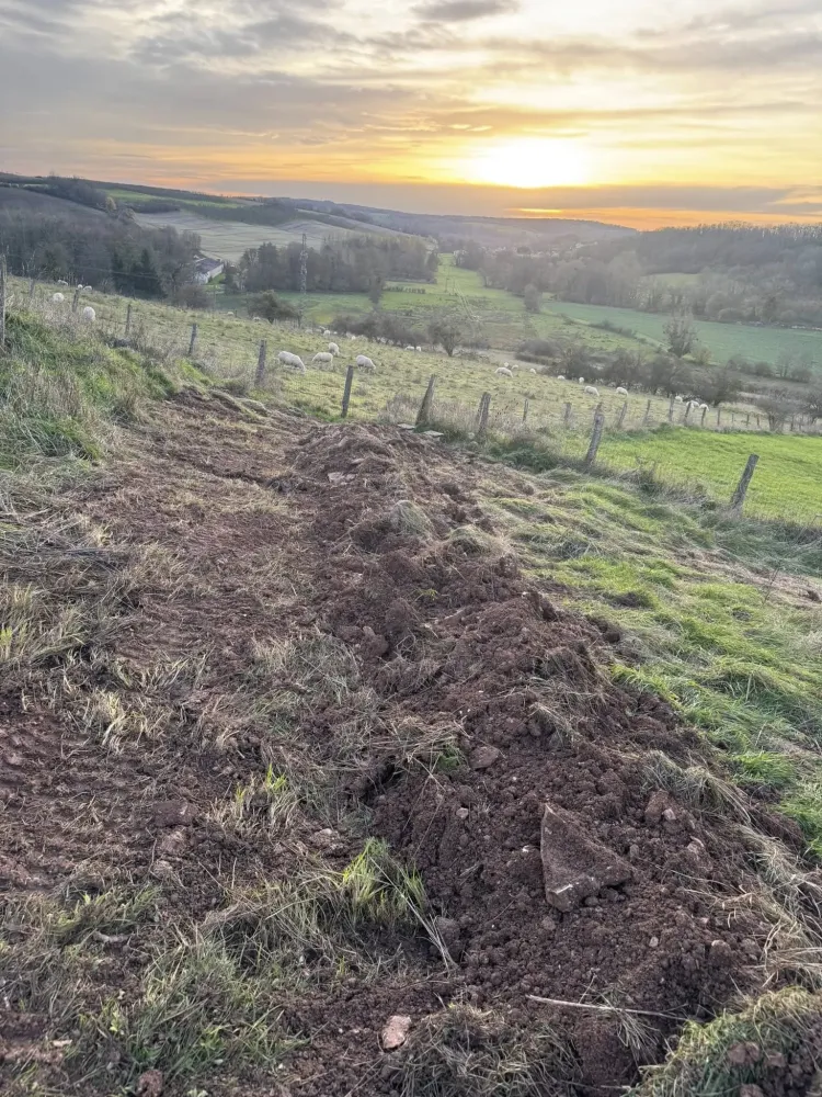 Création paysagere (7)